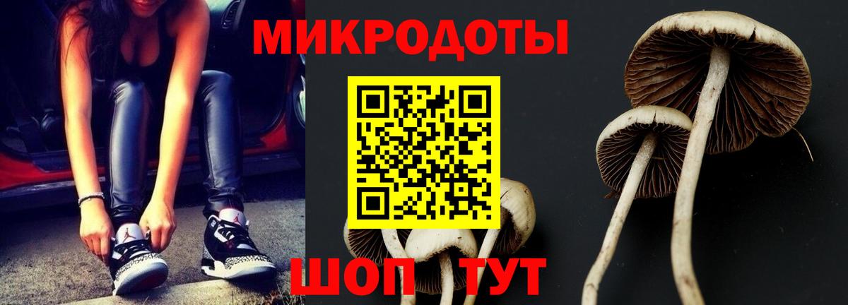 Минеральные Воды  Галлюциногенные грибы мухоморы  Вход с VPN 