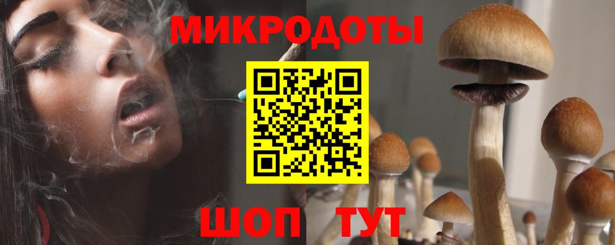 Псилоцибиновые грибы мухоморы Минеральные Воды